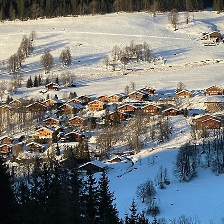 Cosymontagne - Le Chalet - 3Ch - 8 Pers- Terrasse Sud, Magnifique Vue ラ・クリュサ エクステリア 写真