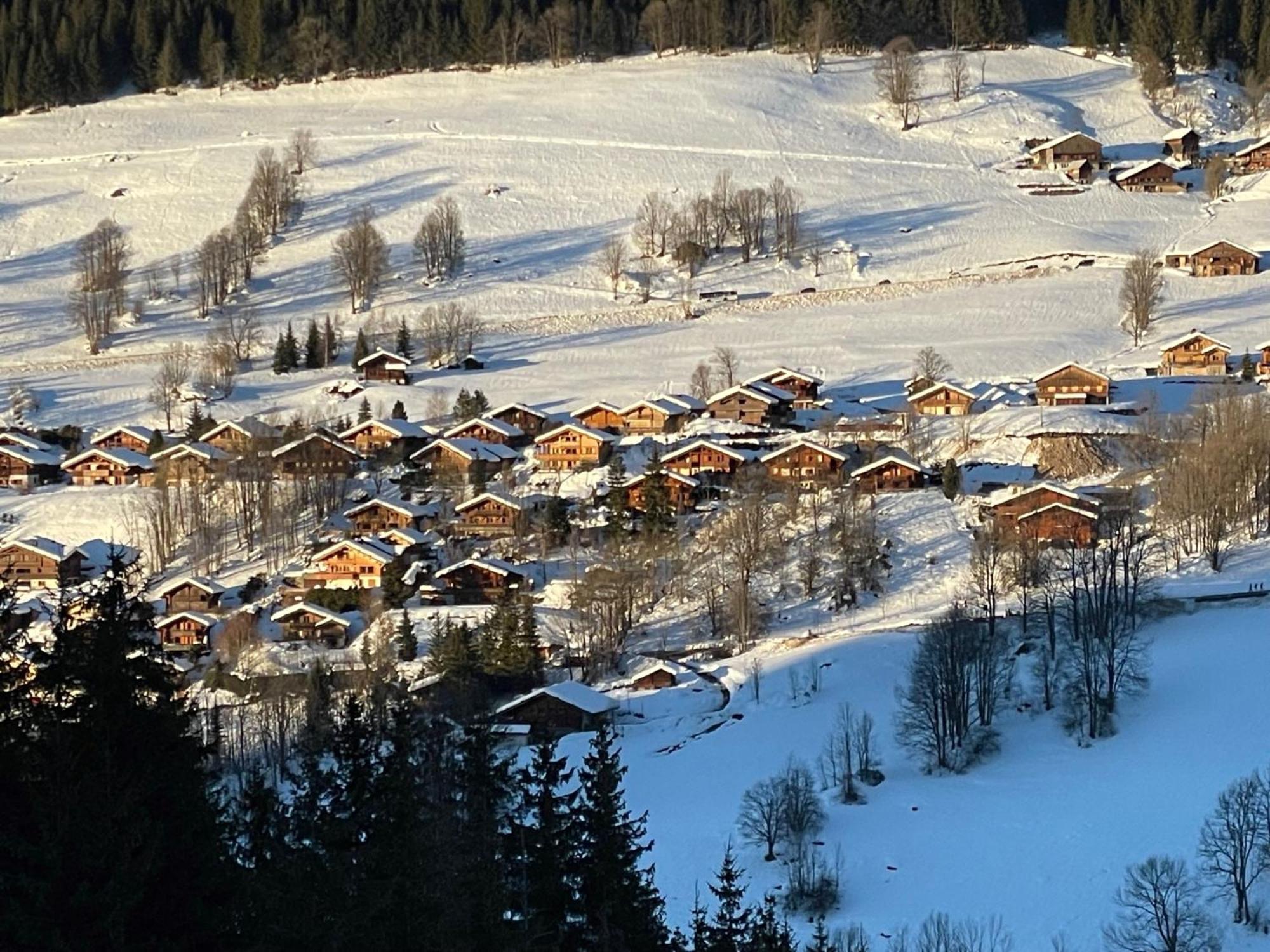 Cosymontagne - Le Chalet - 3Ch - 8 Pers- Terrasse Sud, Magnifique Vue ラ・クリュサ エクステリア 写真